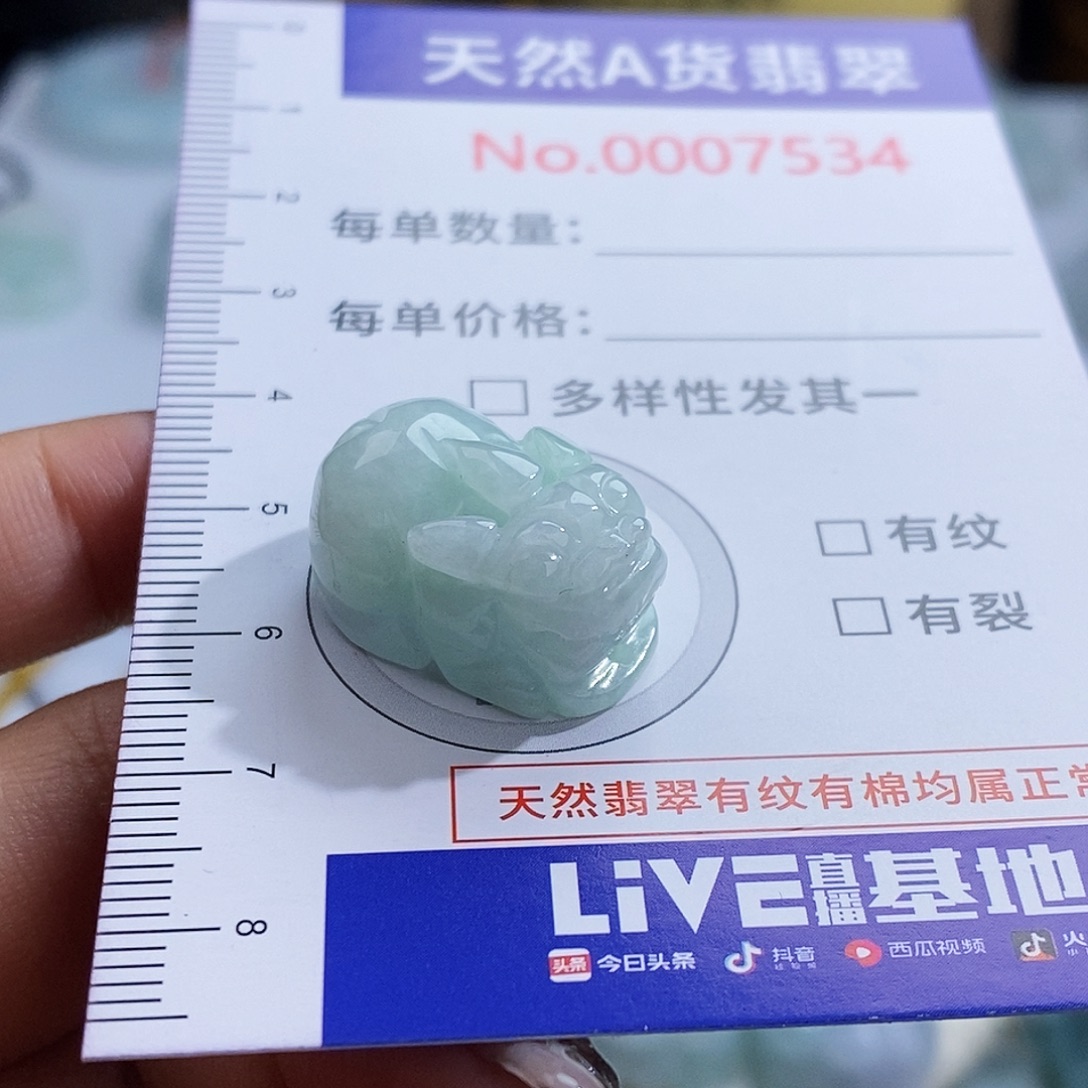 翡翠未镶嵌颈饰7534