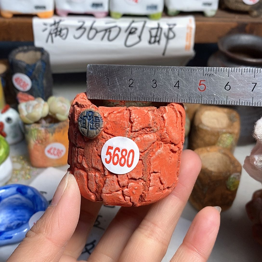 红陶拍5送一个小