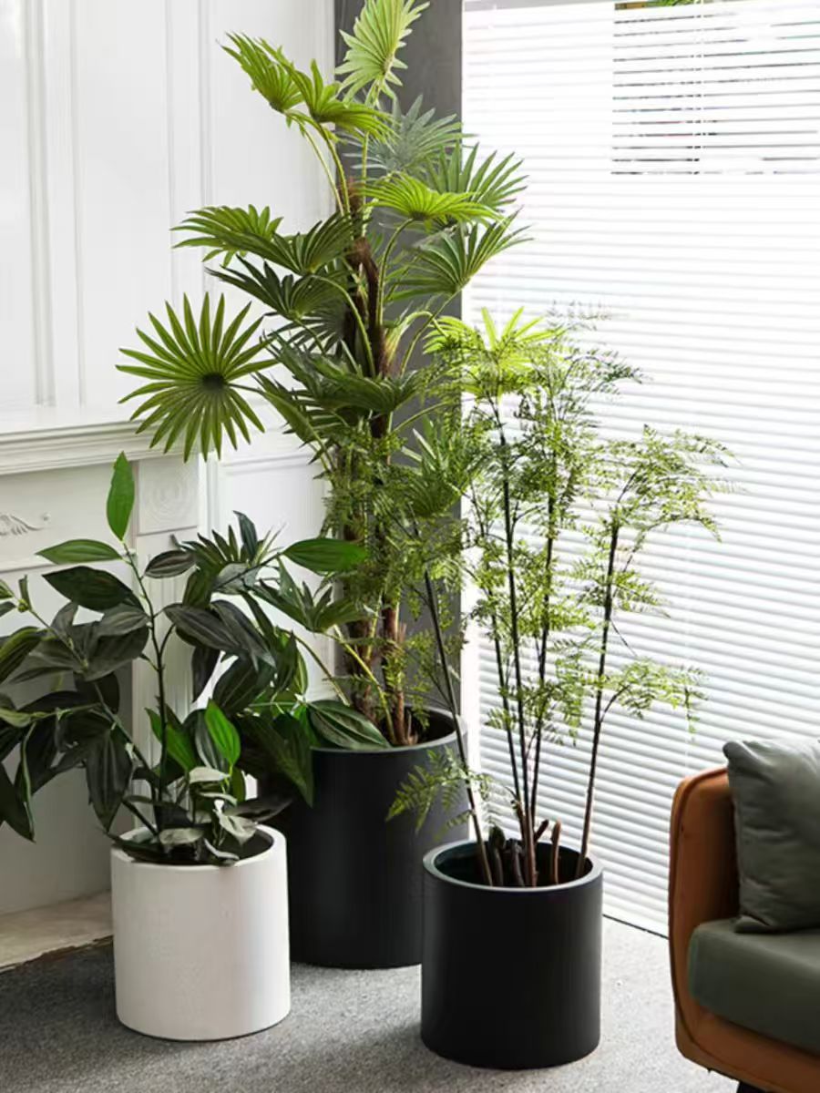 芊圆桶镁泥花盆黑金刚黑珍珠高山大口径简约轻奢大号落地透气盆器