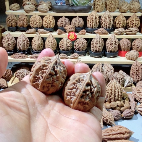 文玩核桃把件我*将军膀