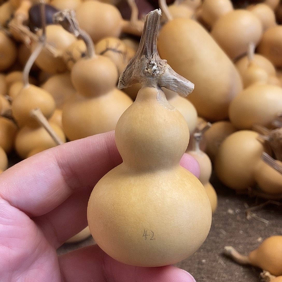 文玩葫芦 完美主义者 慎拍42