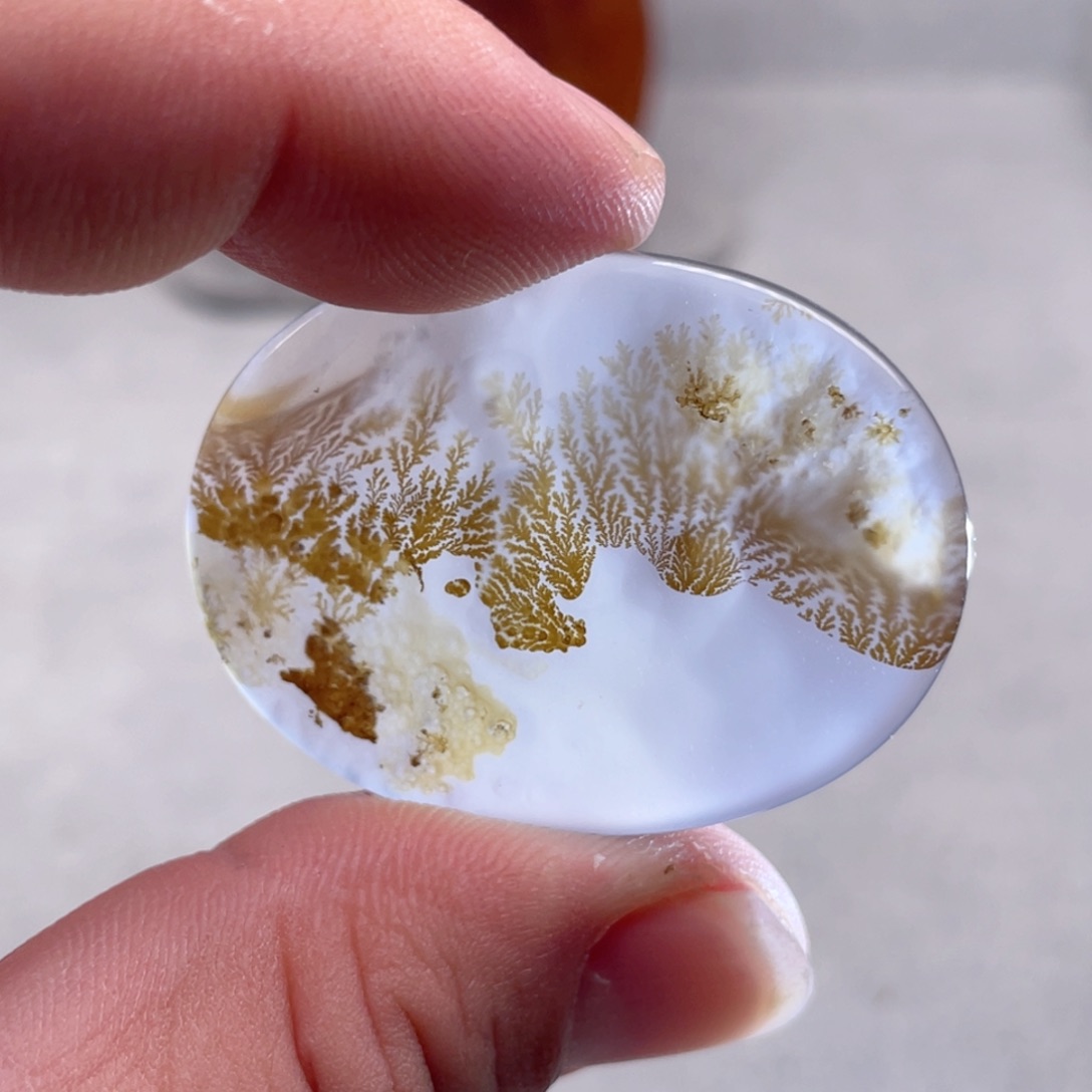 【闪购商品】玛瑙/玉髓颈饰未镶嵌