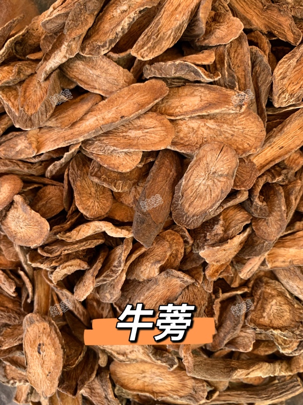 辣姜精选 牛蒡  