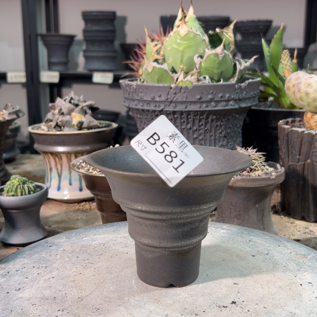 景德镇手工素里内口12.5高9.5