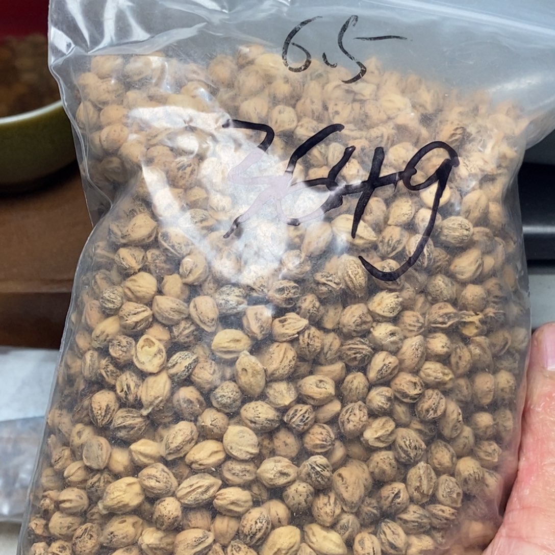 柏香籽/百香籽吊坠