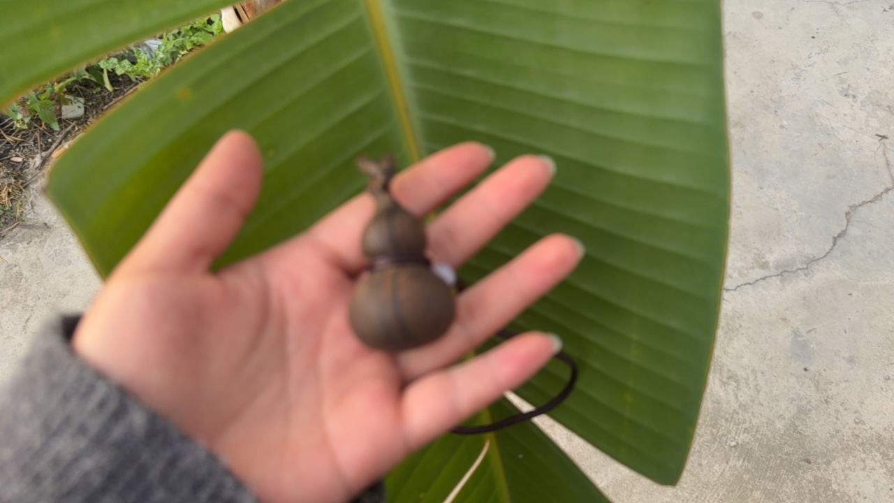 【阿雅专属滋补】71号净含量18g起搭配枸杞