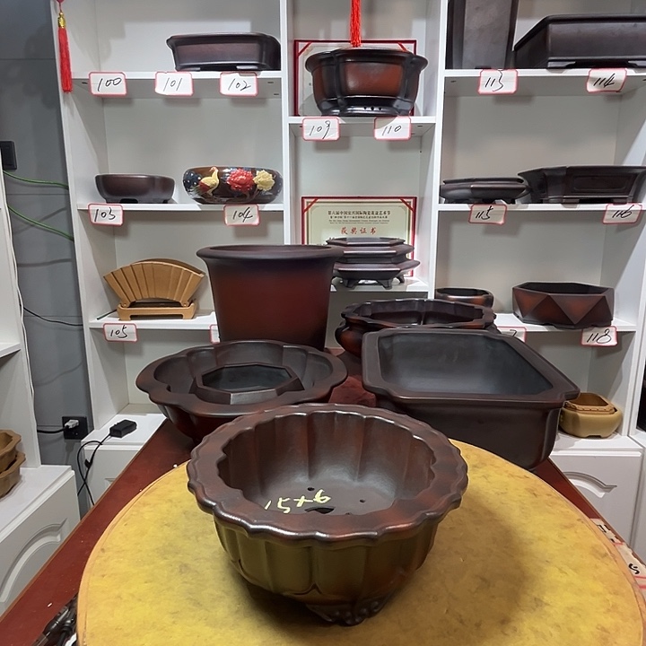 紫砂花盆奔**来11111111111111