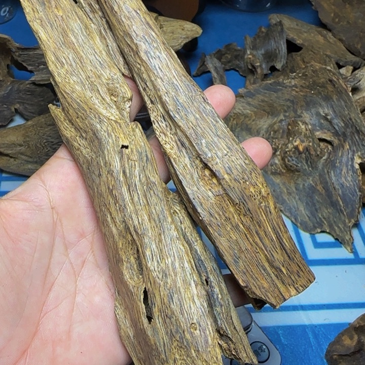 木质绿奇陆河虫漏60克
