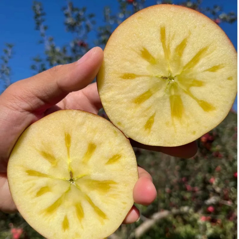 云南昭通冰糖心丑苹果脆甜多汁新鲜采摘不打蜡5斤起包邮