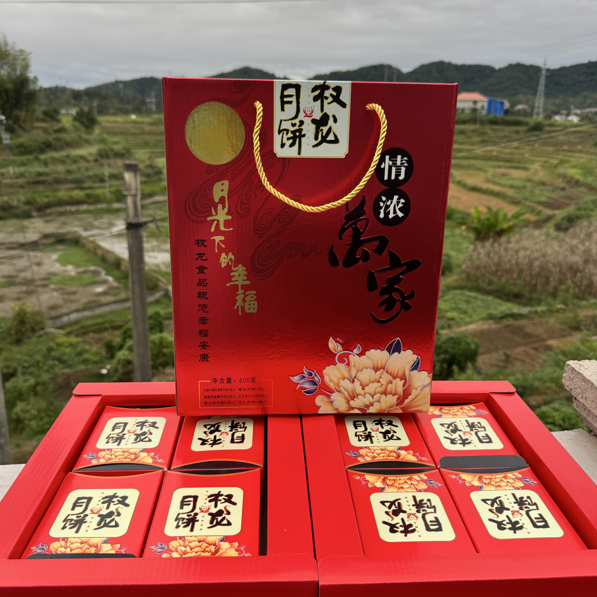 权龙月饼情浓万家礼盒装