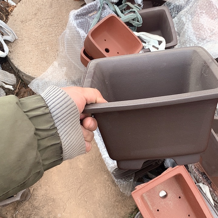 紫砂淘宝优惠券起单曲