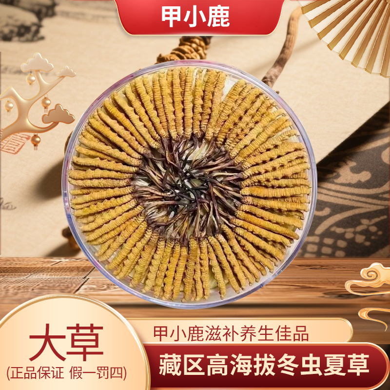 【新款-大草】2025年冬虫夏草高海拔滋补佳品可泡酒煲汤泡茶5根一克