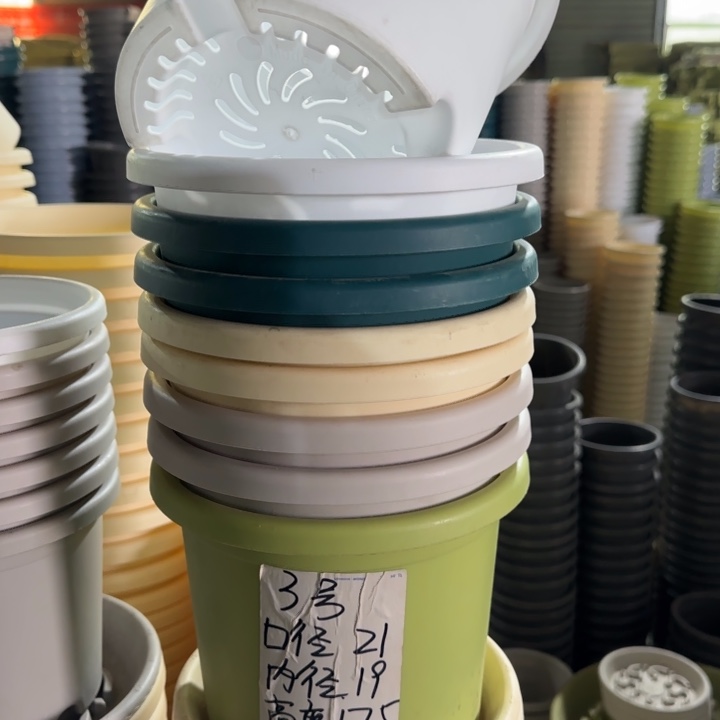 四季3#口径21无托米黄10个