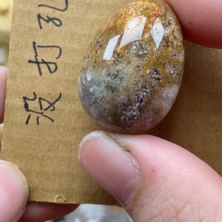颈饰未镶嵌硅化珊瑚（珊瑚玉）
