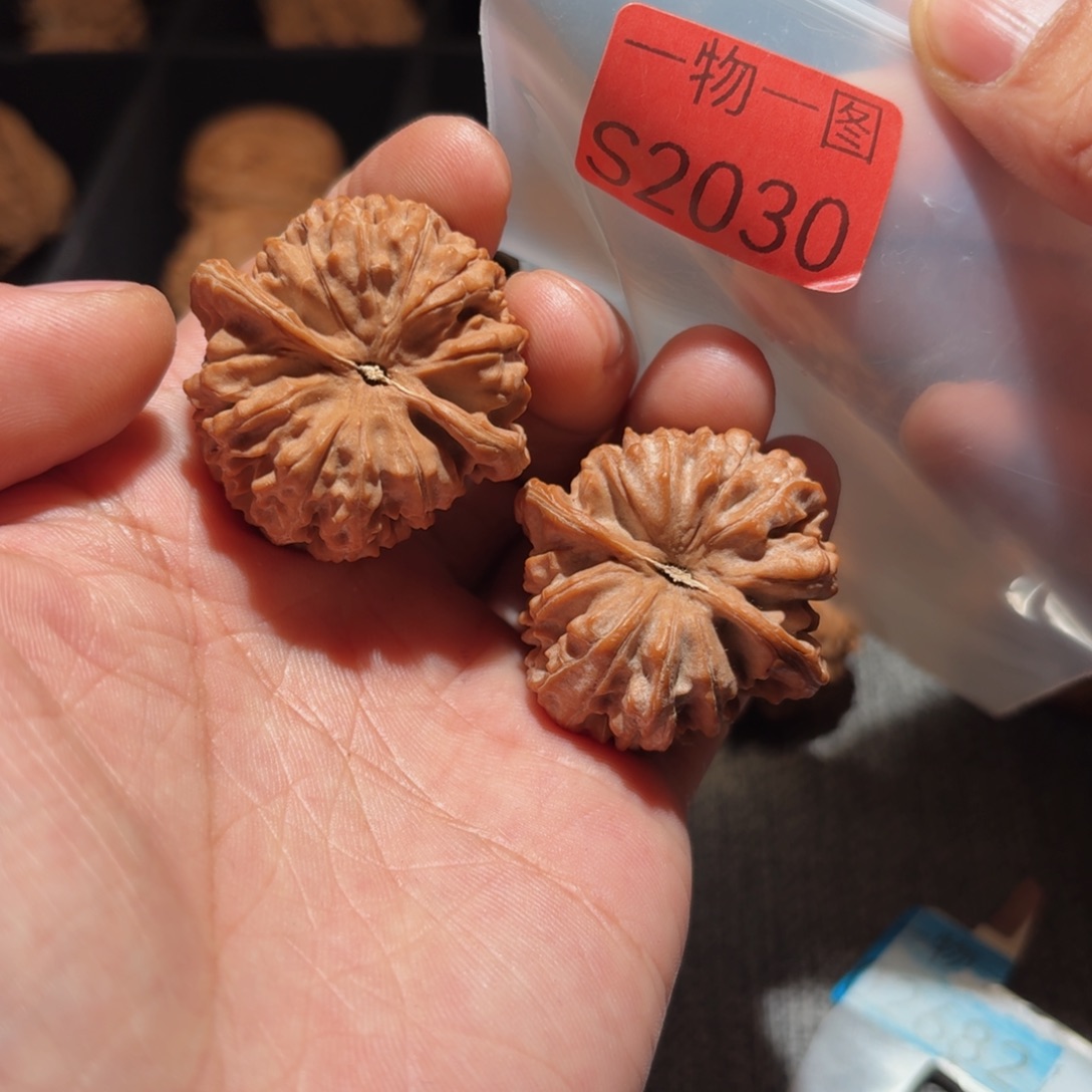 文玩核桃把件红珊瑚