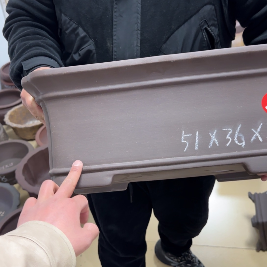 紫砂花盆呜呜呜我真的好
