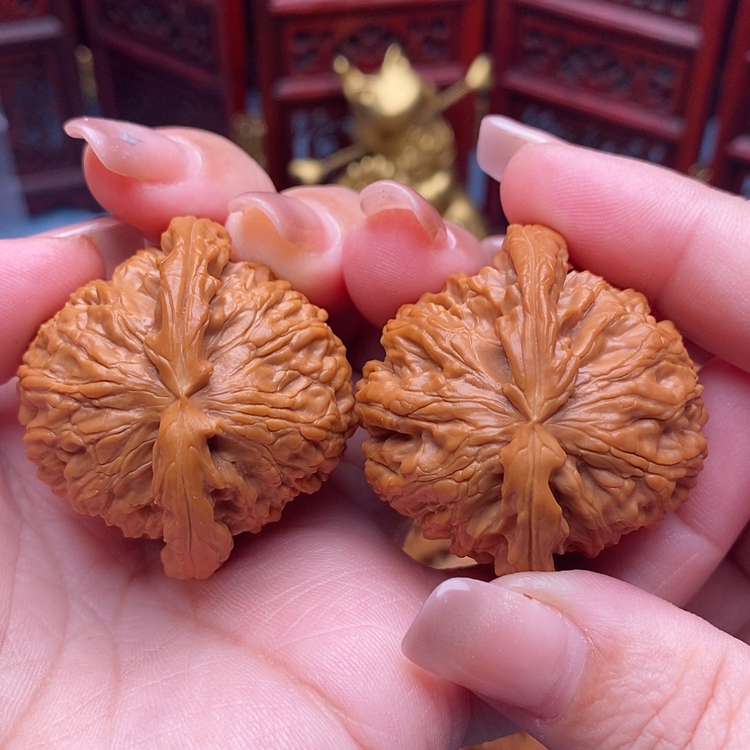 文玩核桃把件42精品毕业白狮子