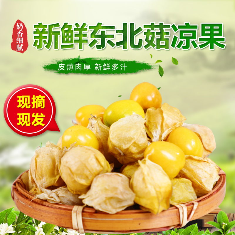 东北菇娘果灯笼果营养好吃新鲜水果产地直发