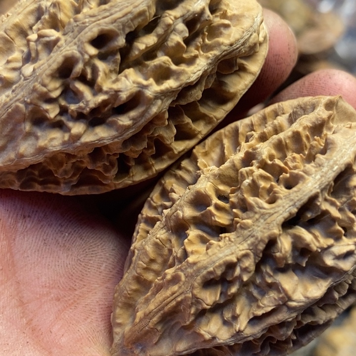 文玩核桃吊坠东北特产261