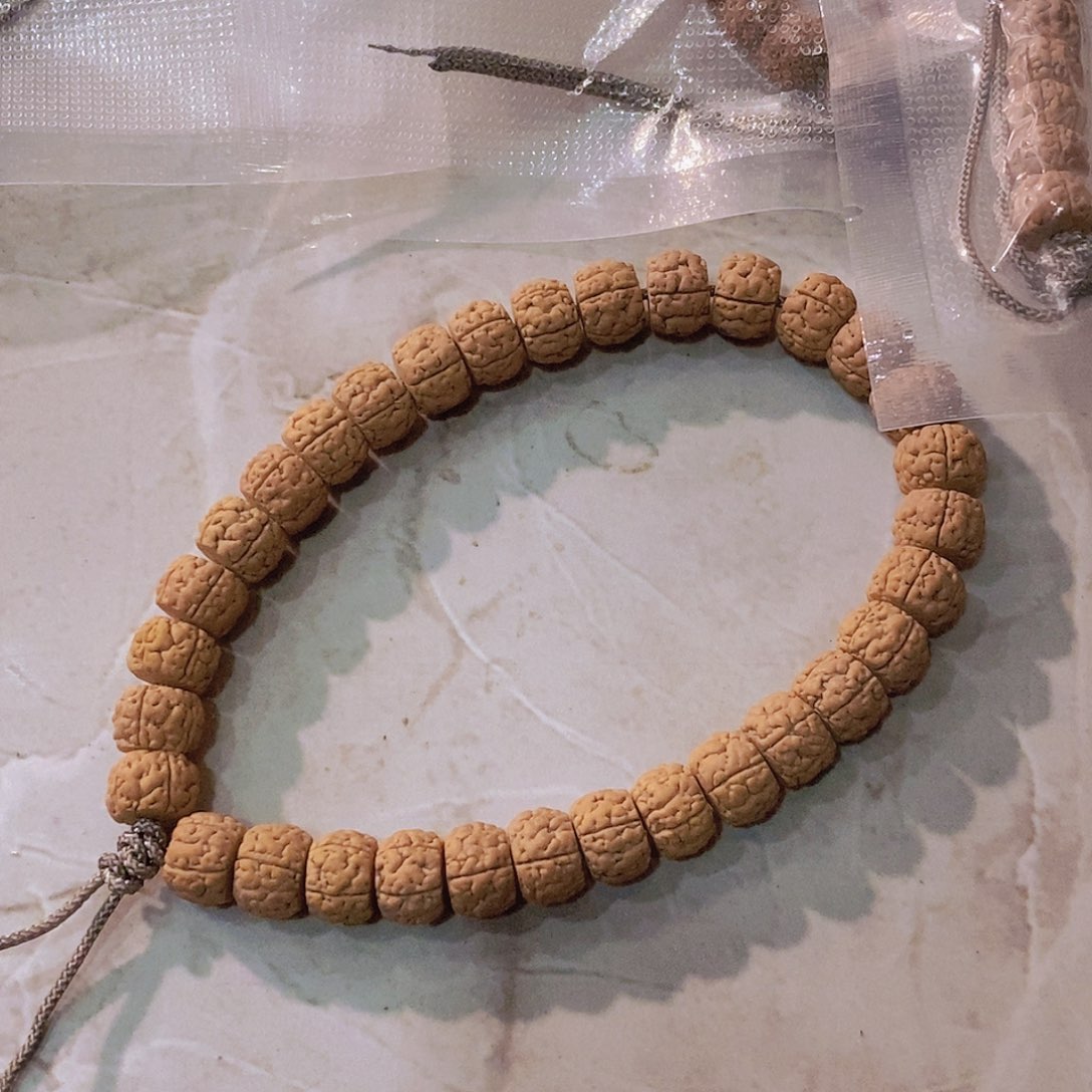 金刚菩提手串9mmm皮皮虾单圈