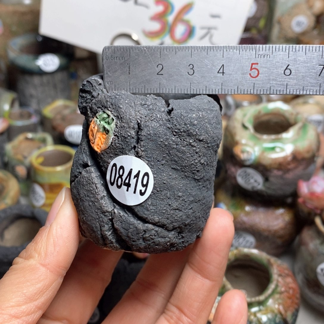 花盆拍3送一个小礼物