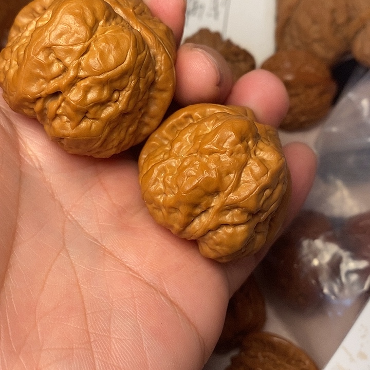 蛐***蛐文玩核桃把件哇40