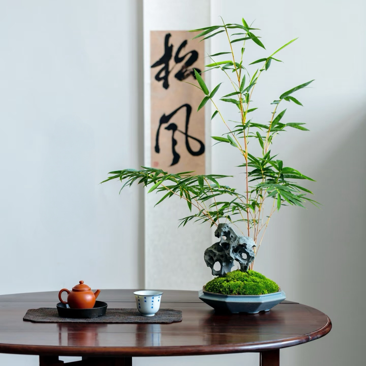 【直播间一物一拍】链接 红观音竹 以直播间实物为准