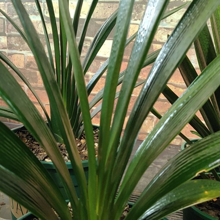 完全开放111111111111