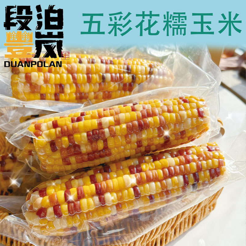 五彩花糯香糯玉米轻食代餐真空即食锁鲜低脂适合身材管理期（6支）