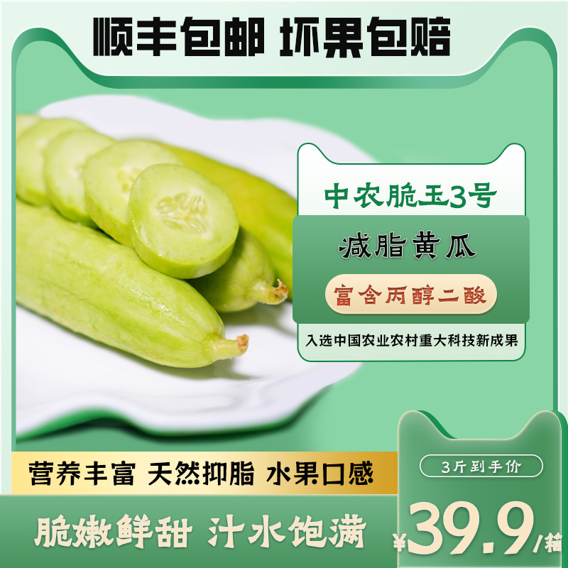 山东新鲜水果黄瓜中农脆玉3号现摘现发即食清脆爽口