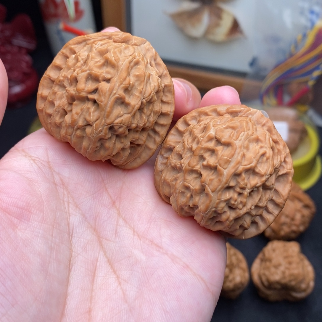 松***感把件文玩核桃41白狮子