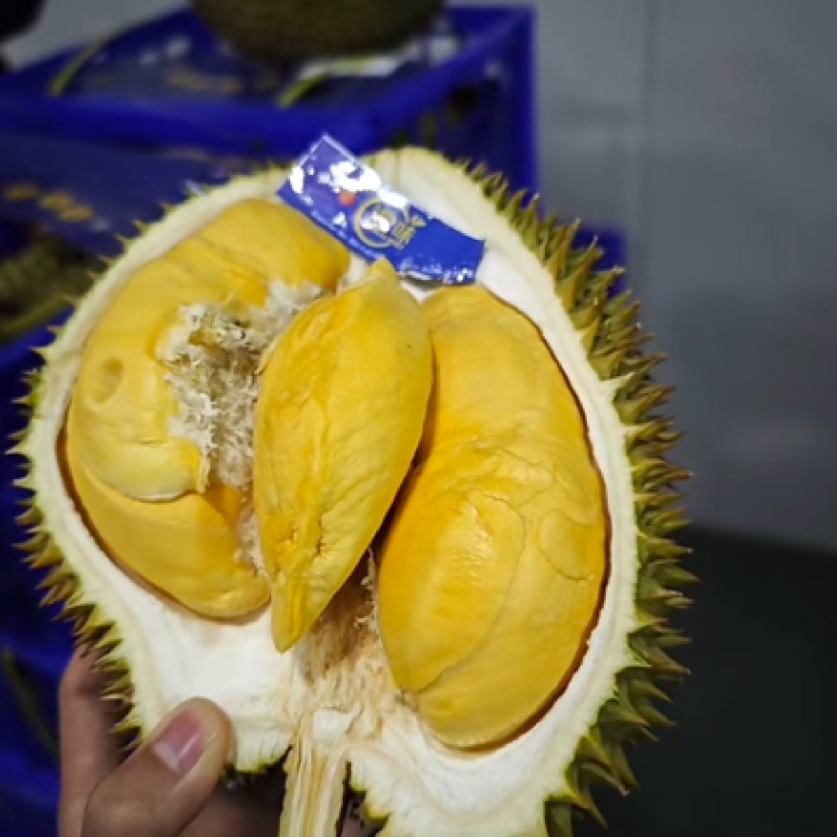 泰国诺卡兹鲜榴莲88元一个2.5-3.5斤核大介意慎拍金枕诺卡兹泰国