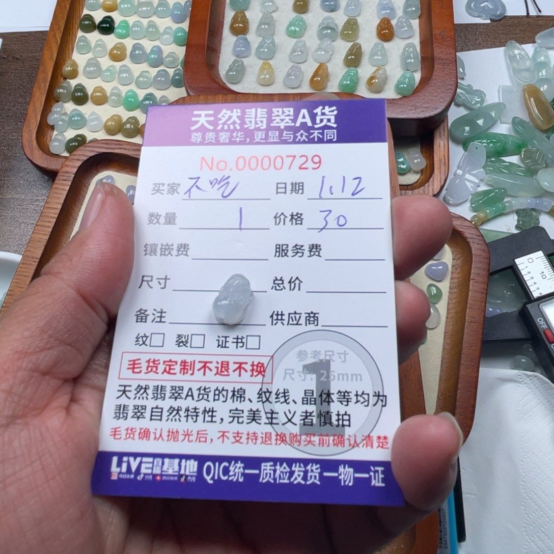 翡翠颈饰未镶嵌不***吧