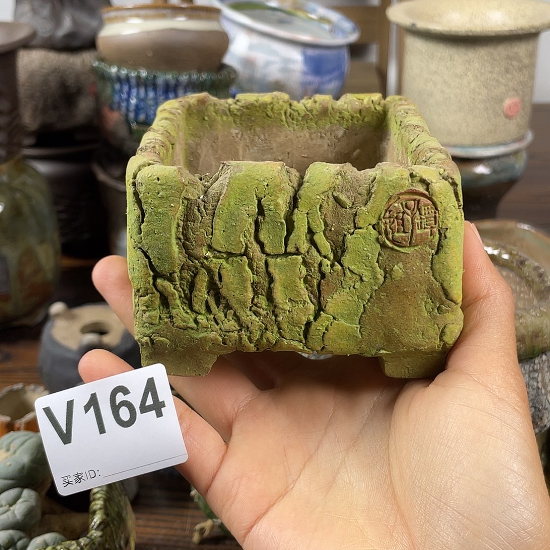 默认微次 限时福利 坛子姐花盆