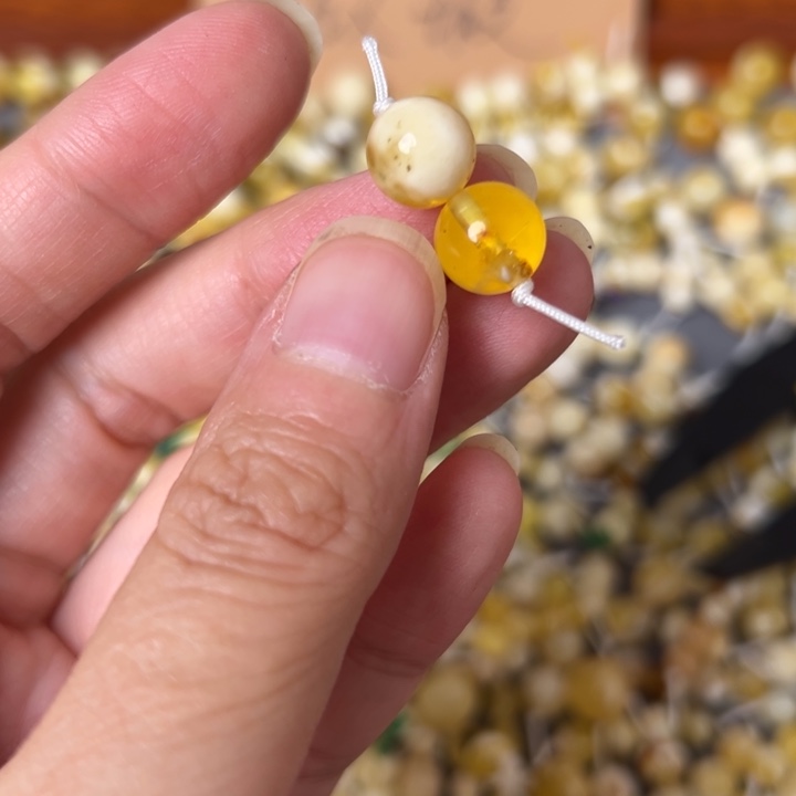 蜜蜡未镶嵌裸石9.5mm一对