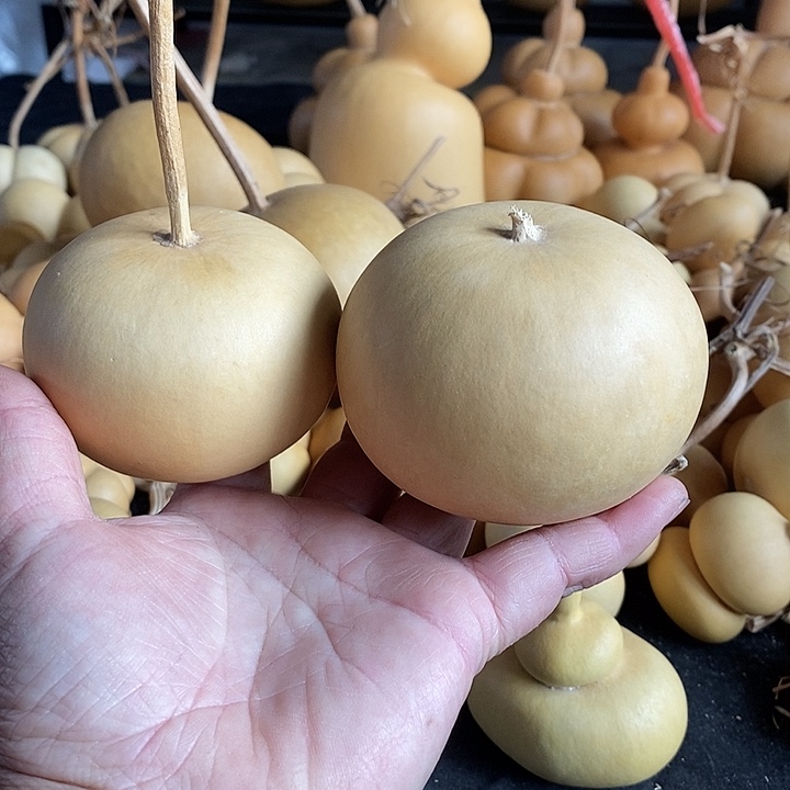 懒**?葫芦的颜色是蓝色的