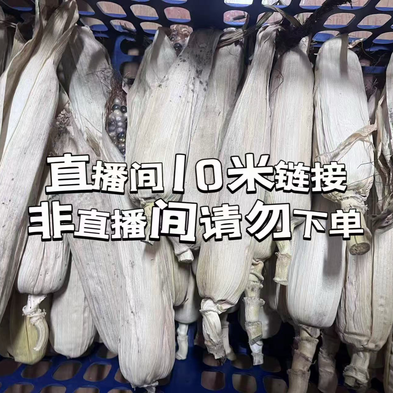 文玩玉米毛料一物一拍