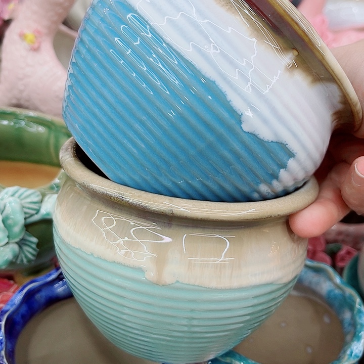 多肉植物陶瓷花盆