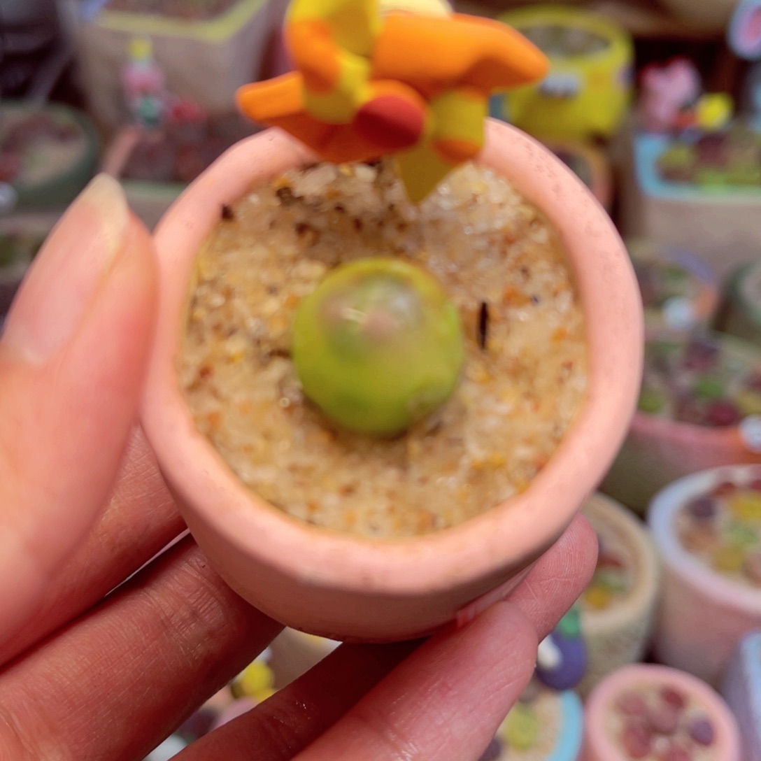 221。88888888888888888