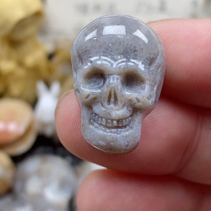 颈饰未镶嵌硅化珊瑚（珊瑚玉）小