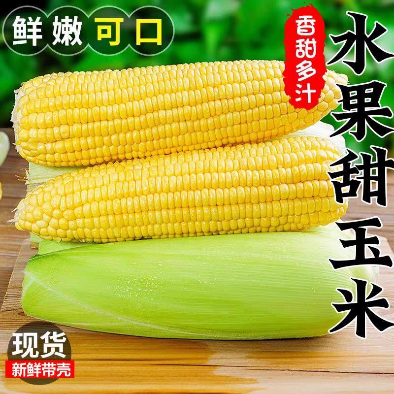 【新春特惠】海南新鲜甜脆太阳花水果玉米8斤现摘煲汤营养健康商品图
