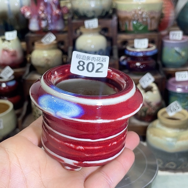 红陶内口径6高度6