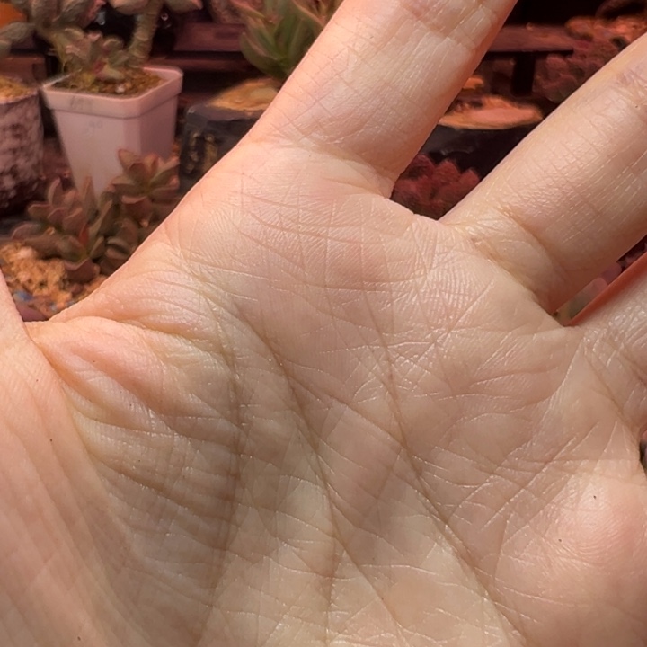 鉄***河                 吉祥如意