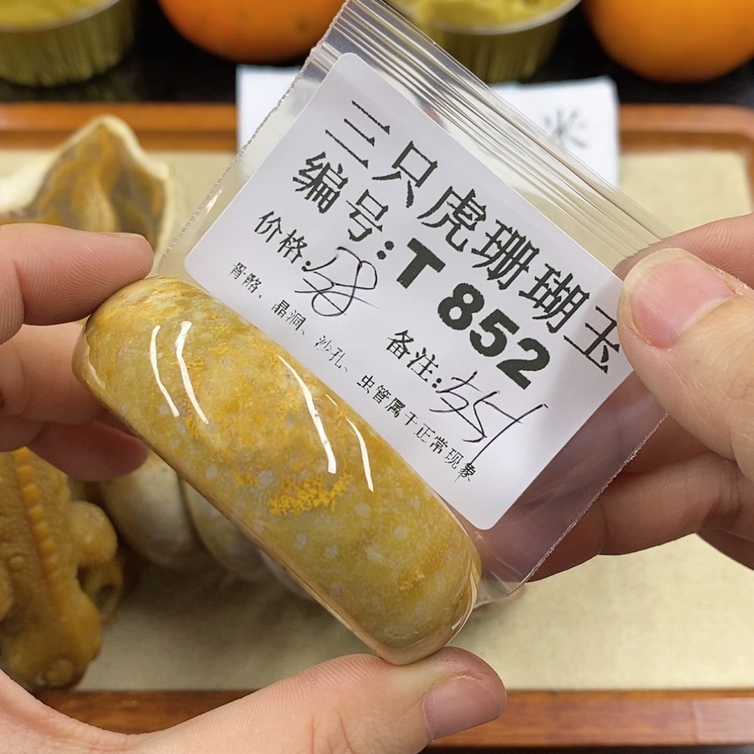 硅化珊瑚（珊瑚玉）1未镶嵌天***?