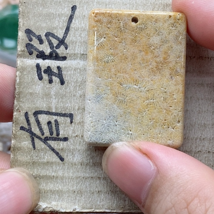 硅化珊瑚（珊瑚玉）未镶嵌颈饰灯**珊小吊坠