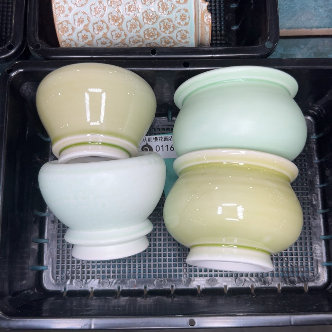 多肉精选编号0116.178