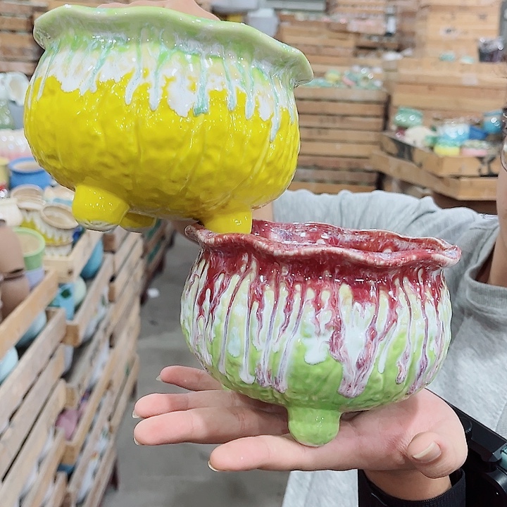 花盆有孔！凑满10米包由！