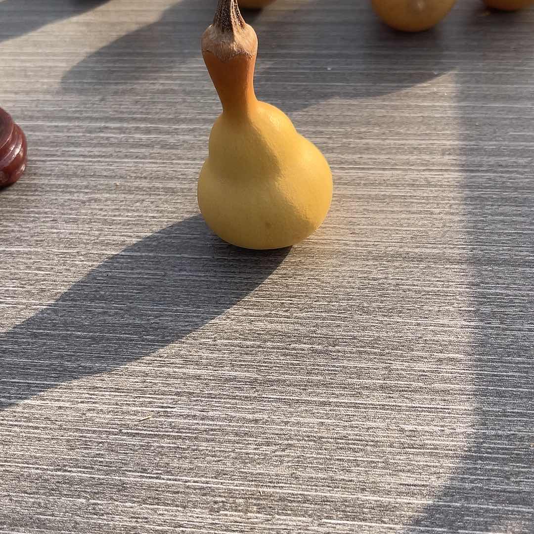 云****云088888888888888