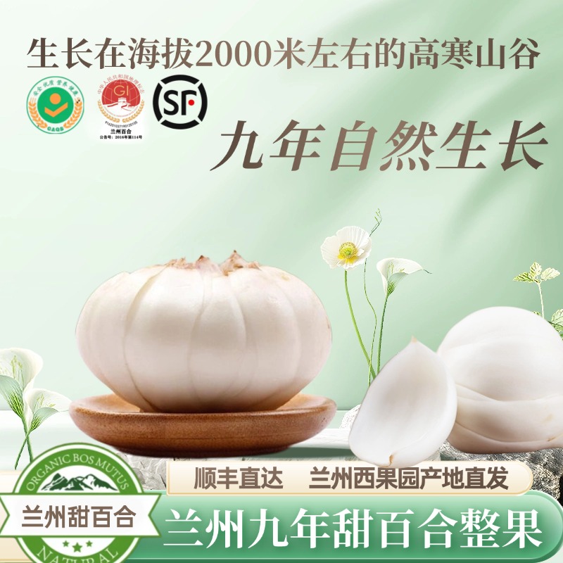 兰州甜百合9年大果