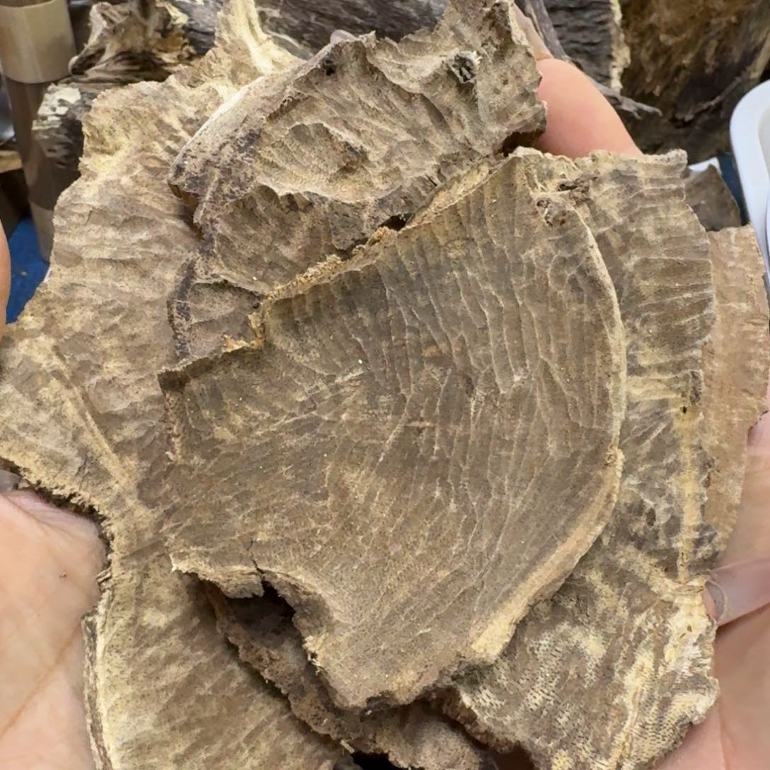 向***慧沉香沉香碎屑海南沉香板头52克